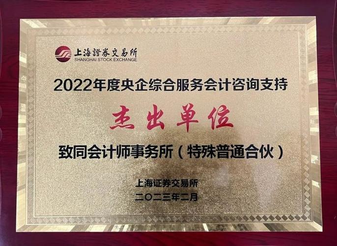 致同獲得2022年央企綜合服務(wù)會(huì)計(jì)咨詢支持杰出單位榮譽(yù)